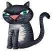 cat image