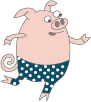 pig image