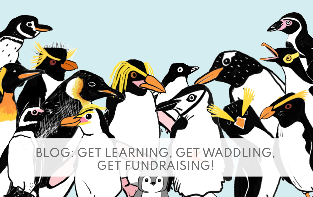 Get Learning, Get Waddling, Get Fundraising